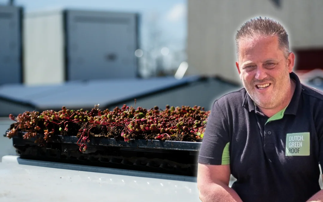 Dutch Greenroof – make self storage greener